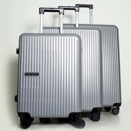 ROAM ROLLER - SILVER BLACK